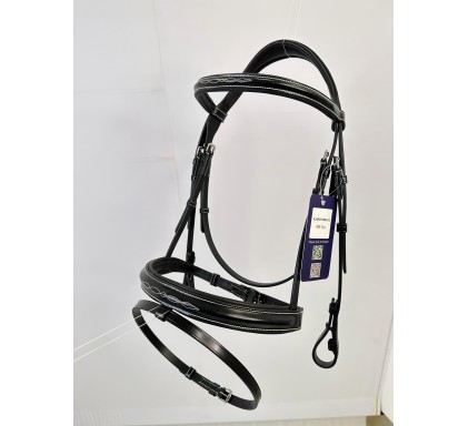 Leather Bridle 